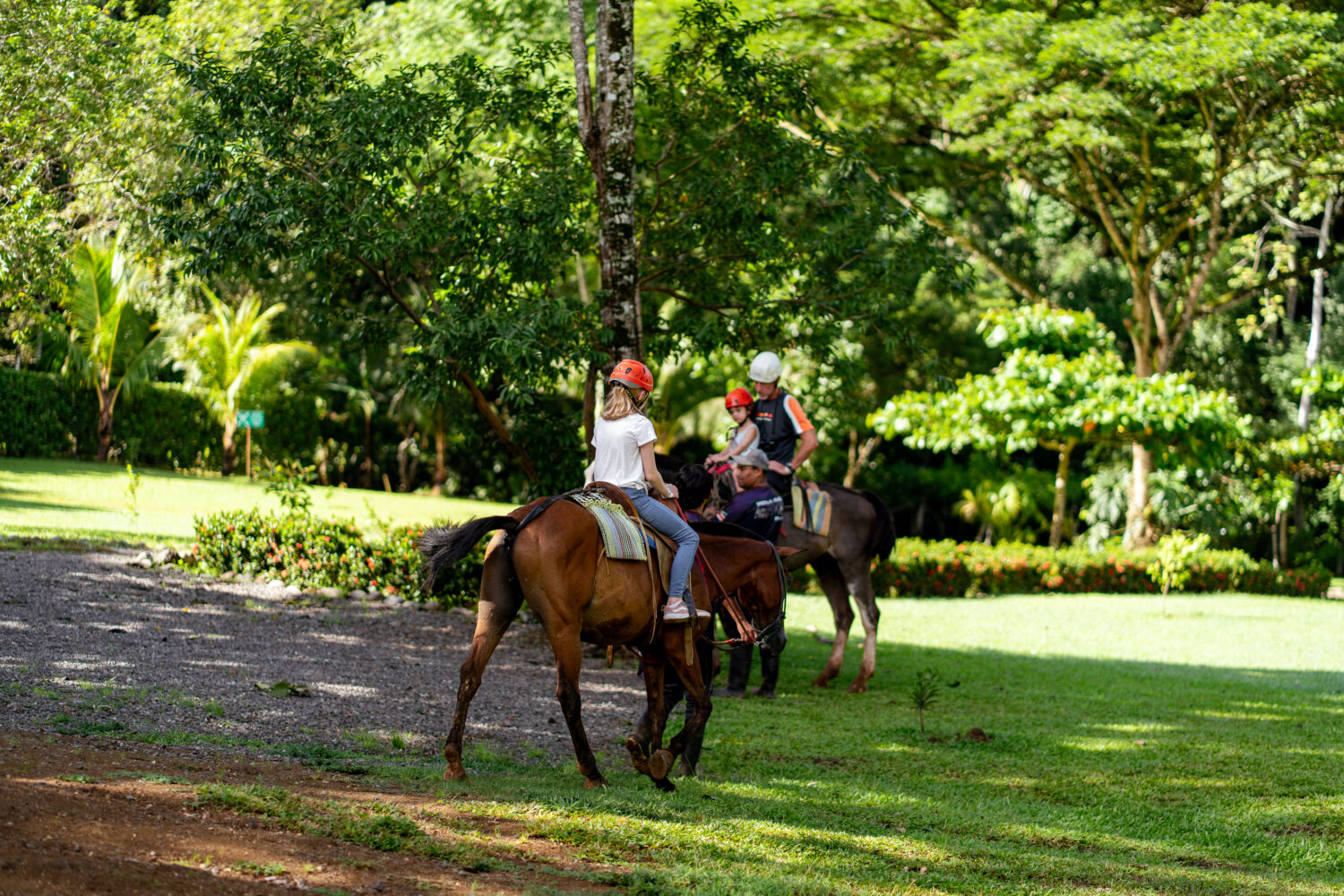 Horse Back Riding